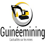 Guineemining