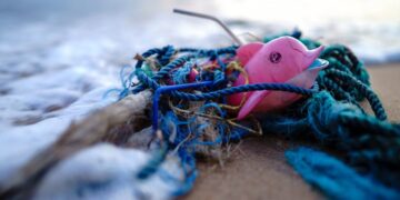 Pollution marine : à Lisbonne, les experts poussent à un engagement international plus ferme