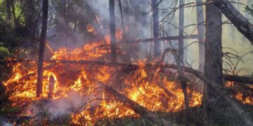 Changement climatique : « Nous allons dans la mauvaise direction », prévient l’ONU