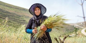 Près de la moitié de la population mondiale vit dans des ménages liés aux systèmes agroalimentaires