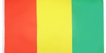 Guinée : qui du gouvernement sextape et du gouvernement d’Union Nationale remportera ?   
