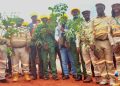 Sangarédi – Environnement : La CBG lance une campagne de restauration écologique sur 136 hectares à N’Dangara